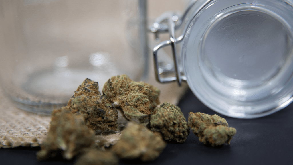 The Rising Trend: Discharged Military Seeking Medical Cannabis Cards