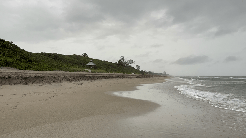 Cannabis, Community, and Caution: Southwest Florida’s Cultural Crossroads